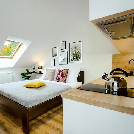 Apartment Benesovka Vacov