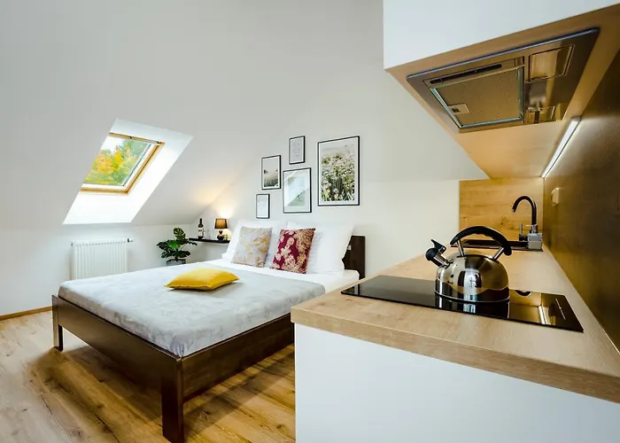 Apartment Benesovka Vacov